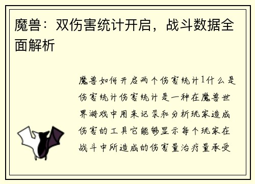 魔兽：双伤害统计开启，战斗数据全面解析